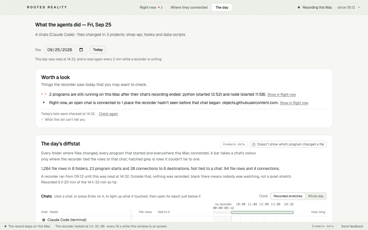 Rooted Reality's The day view, showing a Worth a look summary above an example daily record.